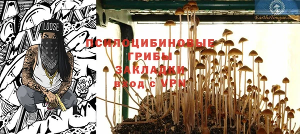 сатива Очёр