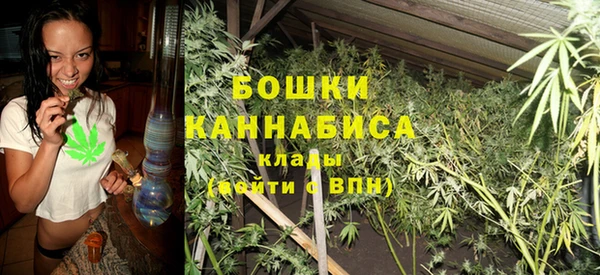 амф Тавда